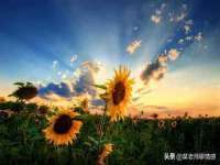 淮安风之帆网络科技有限公司