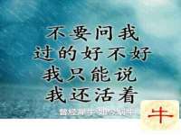 淮安风之帆网络科技有限公司