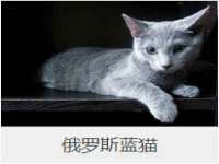 淮安风之帆网络科技有限公司