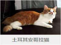 淮安风之帆网络科技有限公司