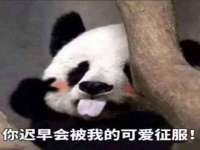 淮安风之帆网络科技有限公司
