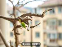 淮安风之帆网络科技有限公司
