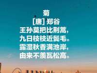 淮安风之帆网络科技有限公司