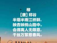 淮安风之帆网络科技有限公司