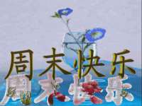 淮安风之帆网络科技有限公司
