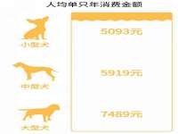 淮安风之帆网络科技有限公司