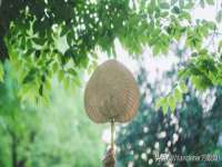 淮安风之帆网络科技有限公司