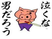 淮安风之帆网络科技有限公司