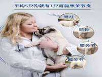 淮安风之帆网络科技有限公司