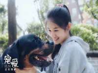 淮安风之帆网络科技有限公司