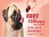 淮安风之帆网络科技有限公司
