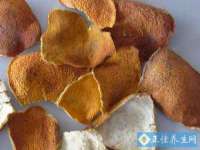 淮安风之帆网络科技有限公司