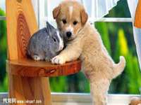 淮安风之帆网络科技有限公司