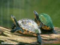 淮安风之帆网络科技有限公司