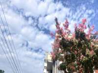 淮安风之帆网络科技有限公司